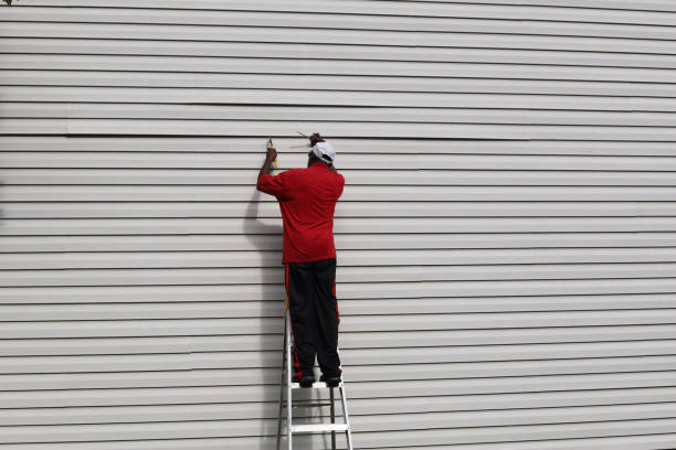 Best Siding for Commercial Buildings  in Aromas, CA