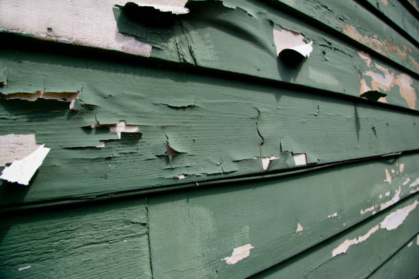 Best Insulated Siding Installation  in Aromas, CA