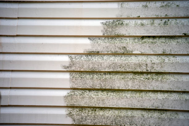 Best Residential Vinyl Siding Installation  in Aromas, CA