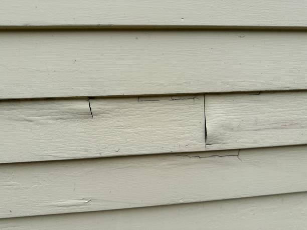 Affordable siding repair and maintenance services in Aromas, CA